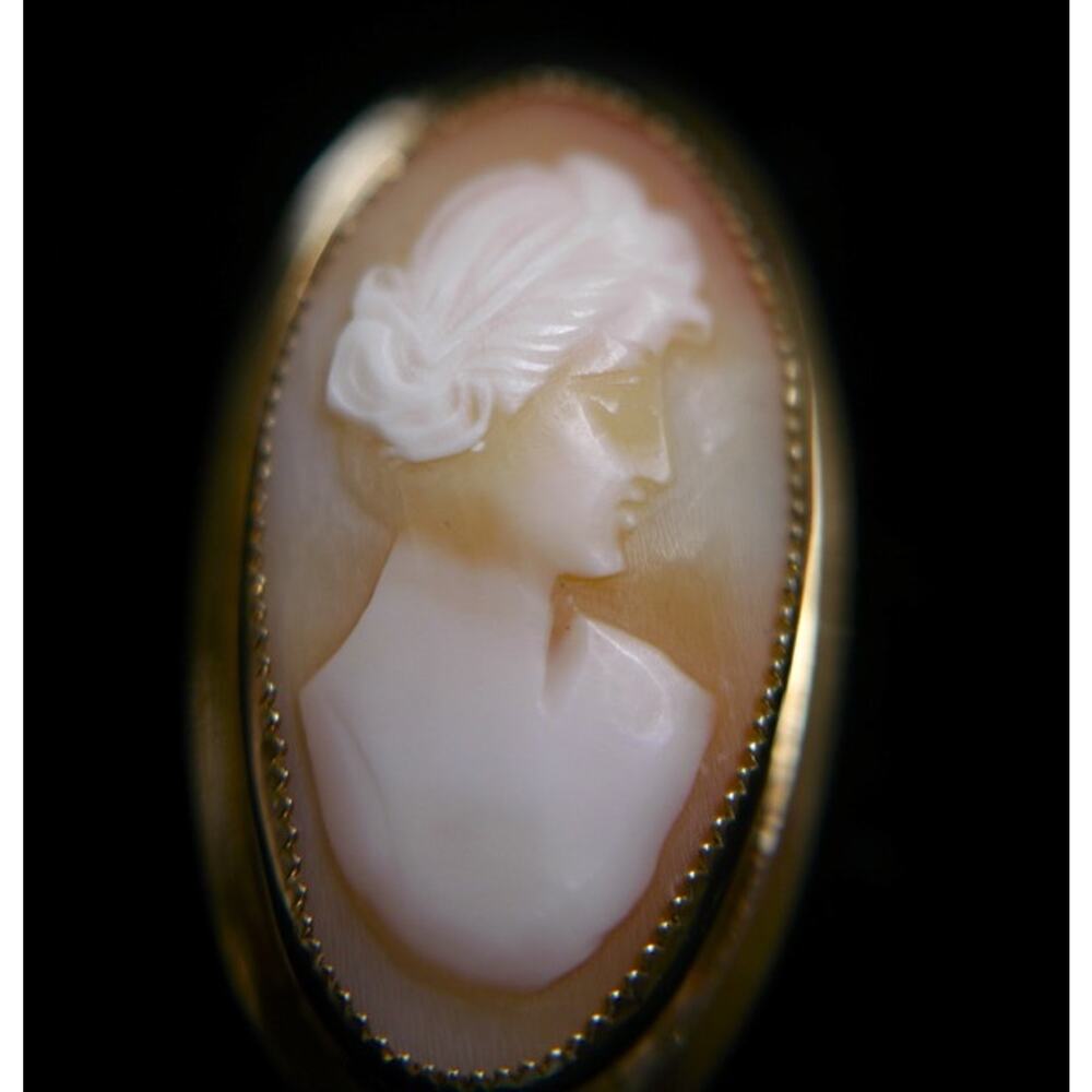 Vintage Antique Victorian Carved Shell Cameo Catamore 12k Gold Filled Brooch Pin